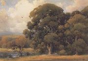 unknow artist Large Oak oil painting picture wholesale